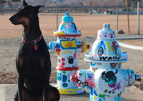 AVK hydrants hand-painted by local children