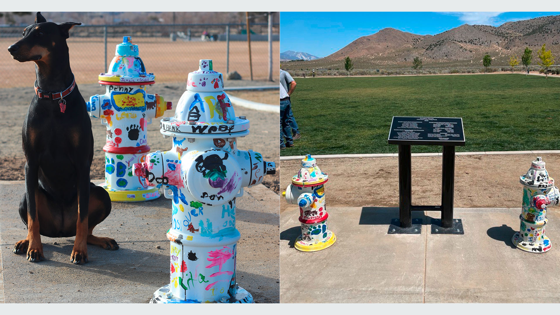AVK Hydrants in dog park in Nevada