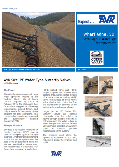 AVK S891 WT BFV Case Study